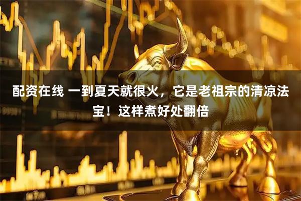 配资在线 一到夏天就很火，它是老祖宗的清凉法宝！这样煮好处翻倍